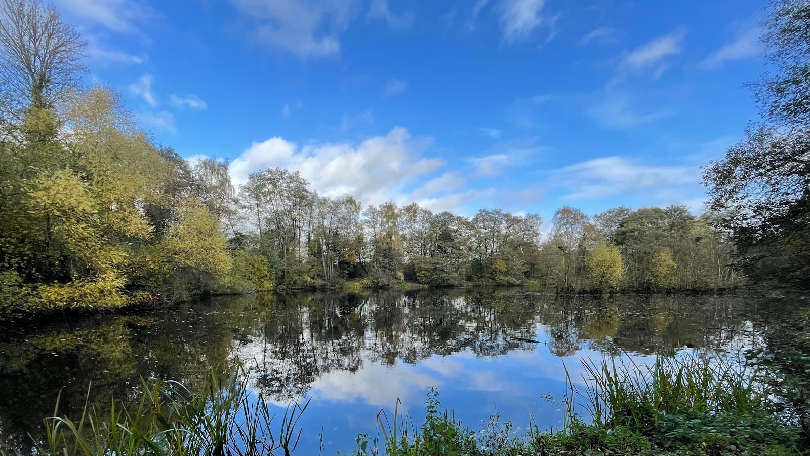 Sevenoaks Wildlife Reserve - Image 1