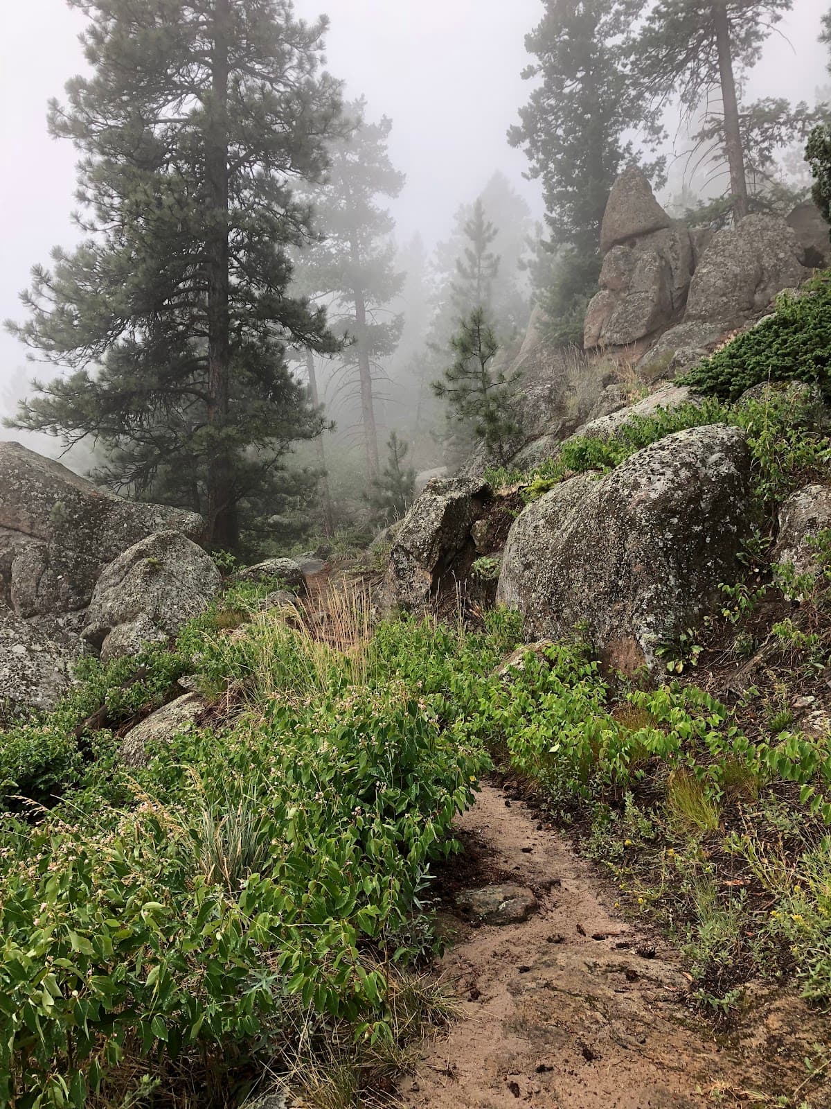 Round Mountain National Recreation Trail - Image 1