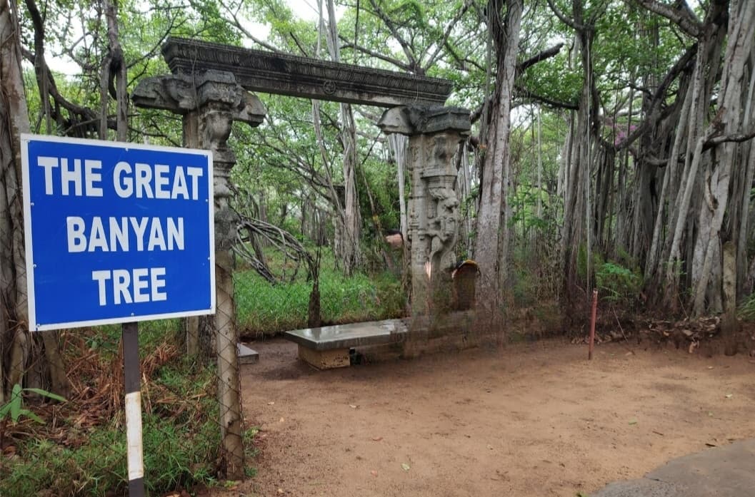 Theosophical Society Adyar Huddleston Gardens - Image 1