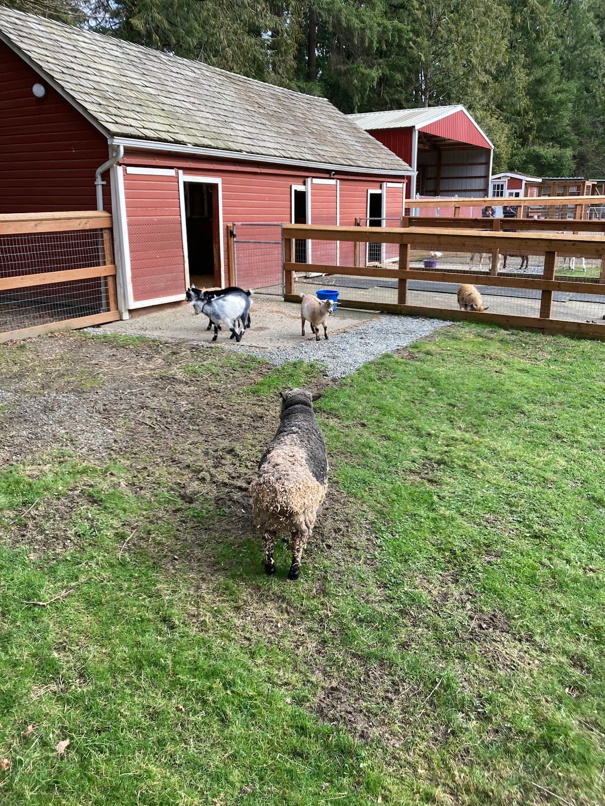 Farrel-McWhirter Farm Park - Image 1