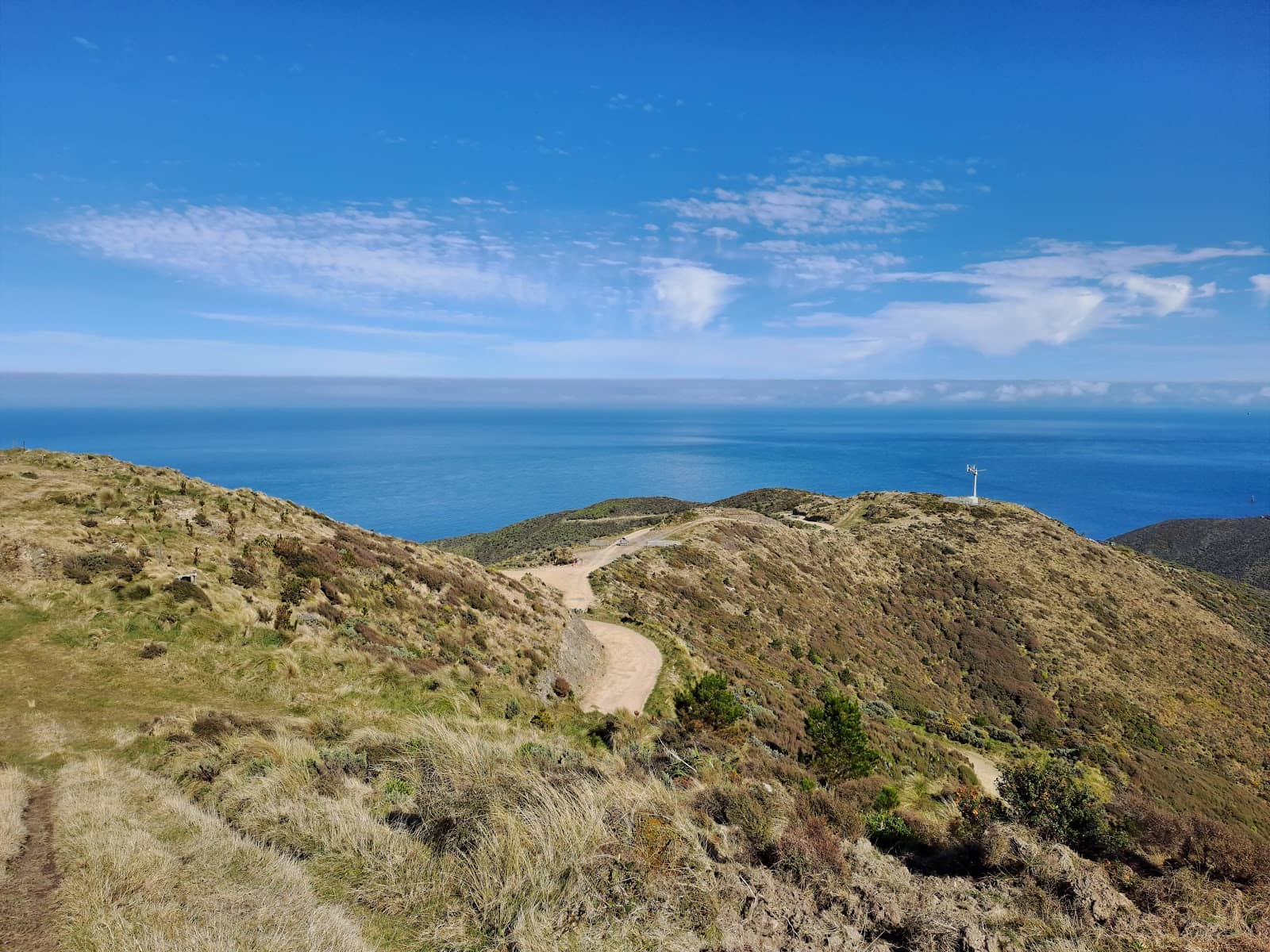 Coastal Walk & Seal Colony