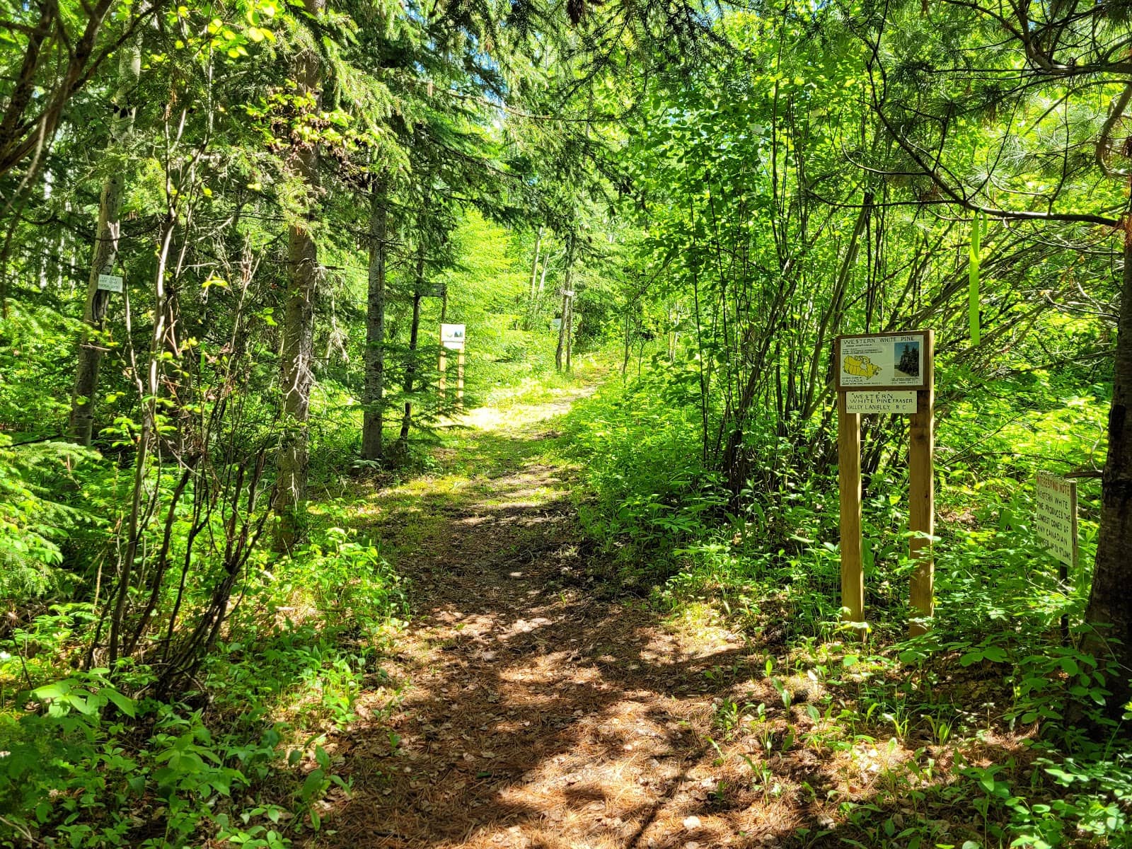 Enchanting Nature Trails