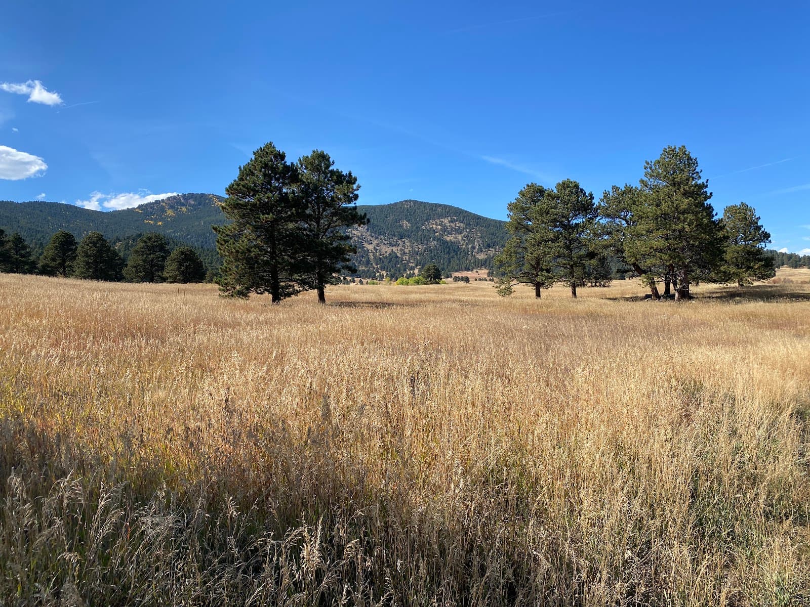 Elk Meadow Park - Image 1
