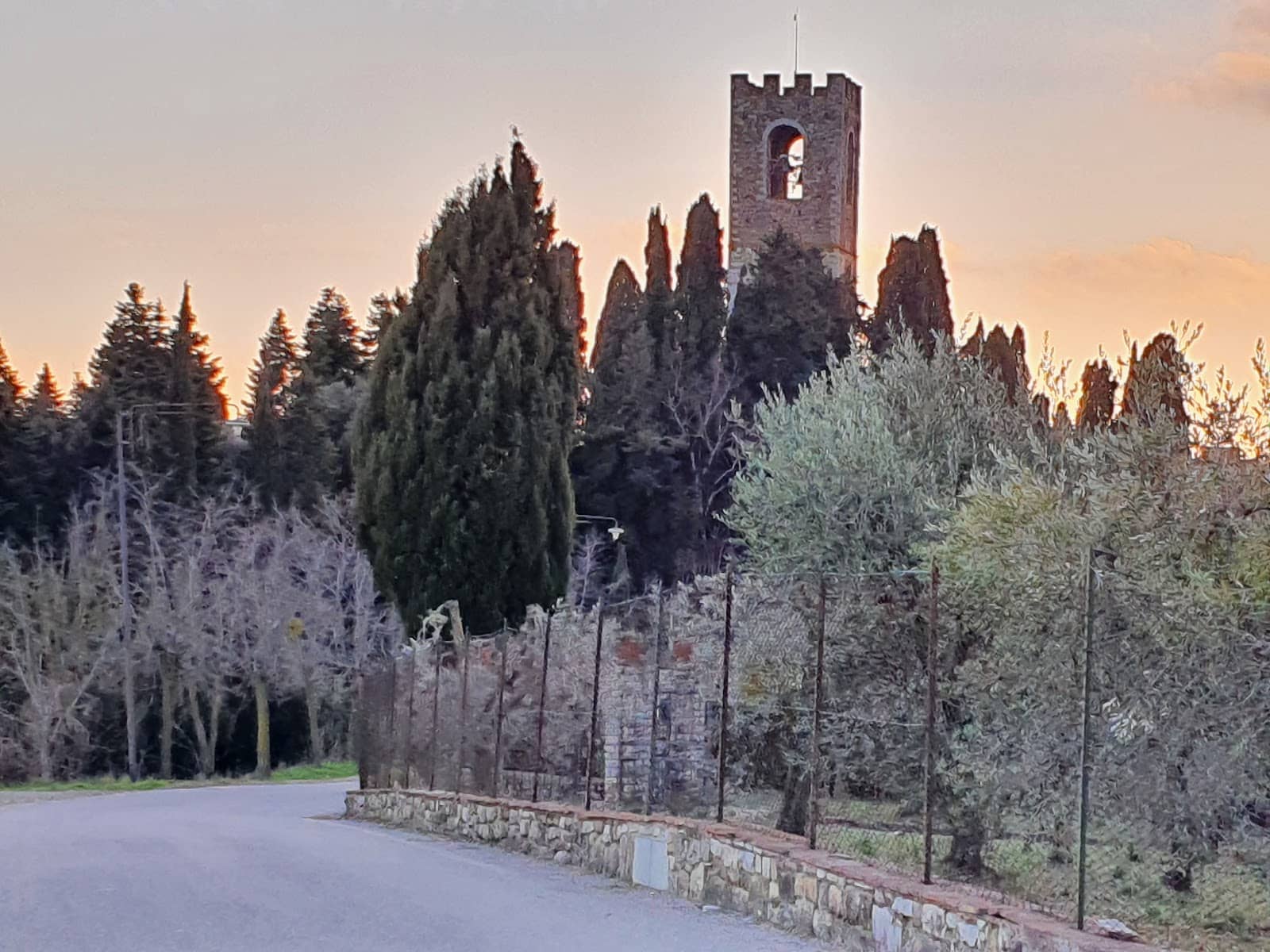 Vertical photo