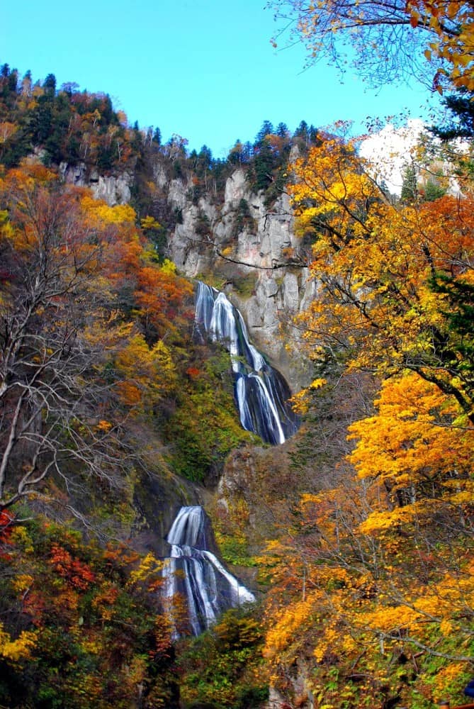 Vertical photo