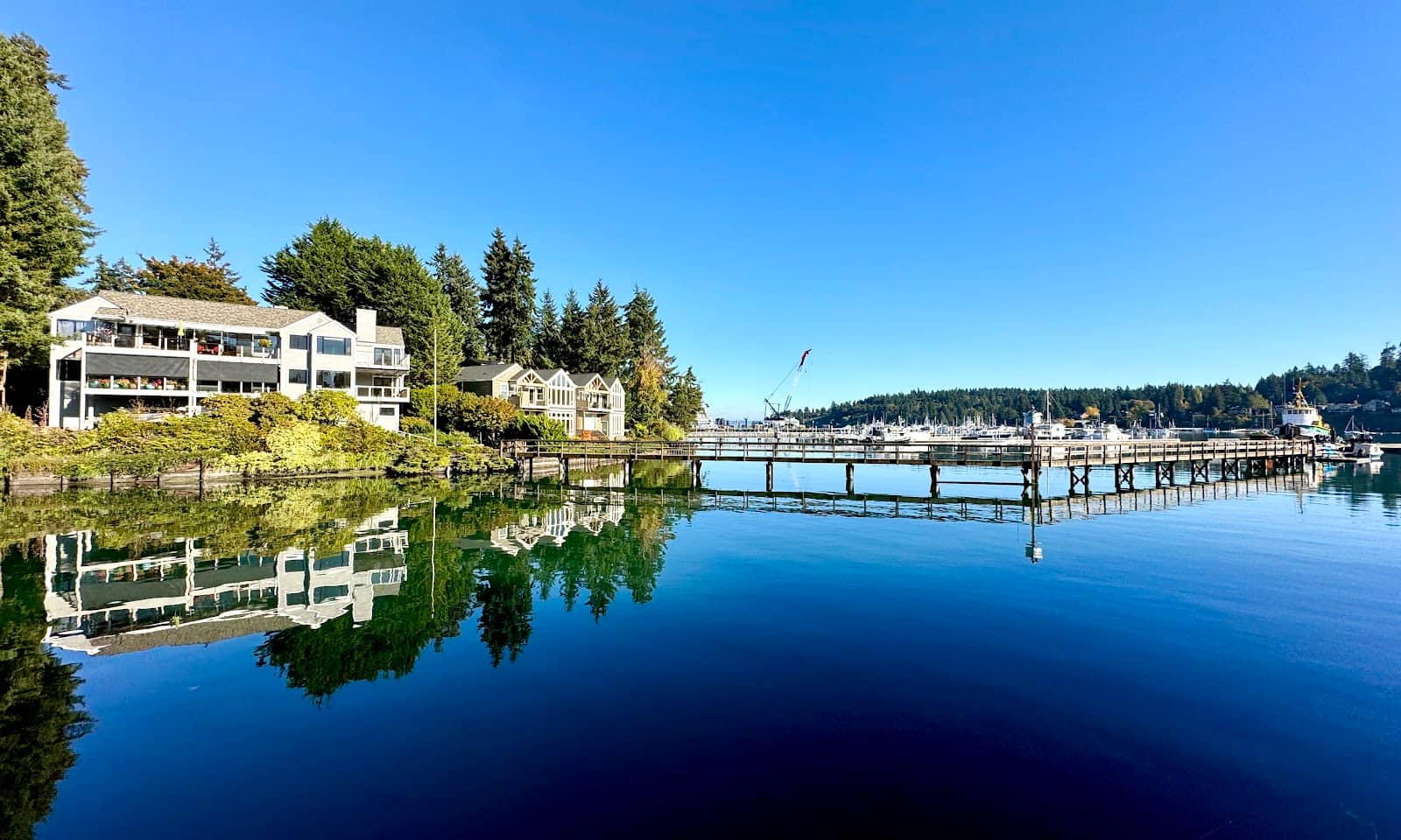 Bainbridge Island Ferry Trip