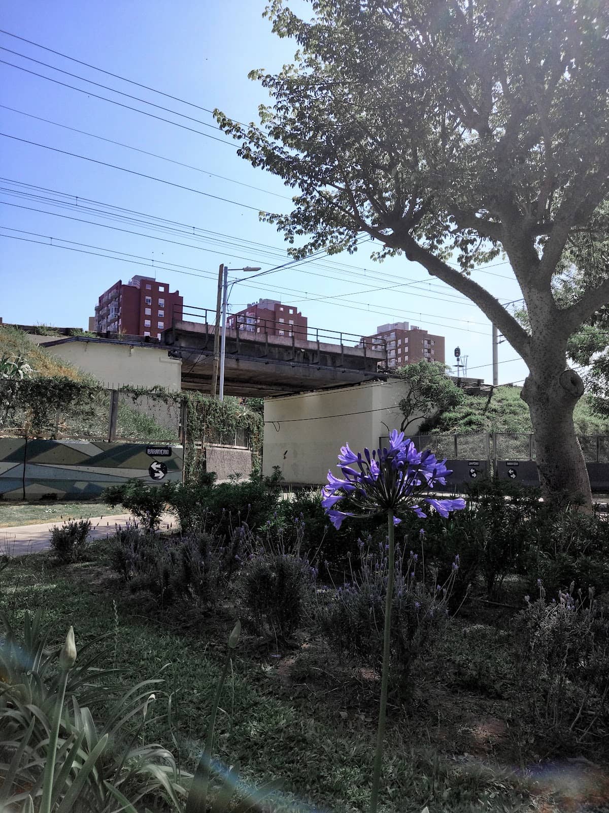 Vertical photo
