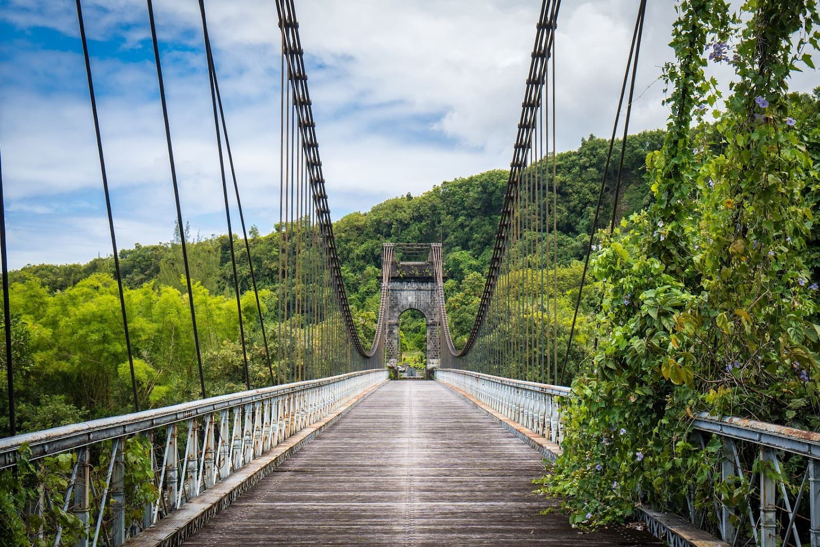 Pont de la Rivière de l'Est - Image 1