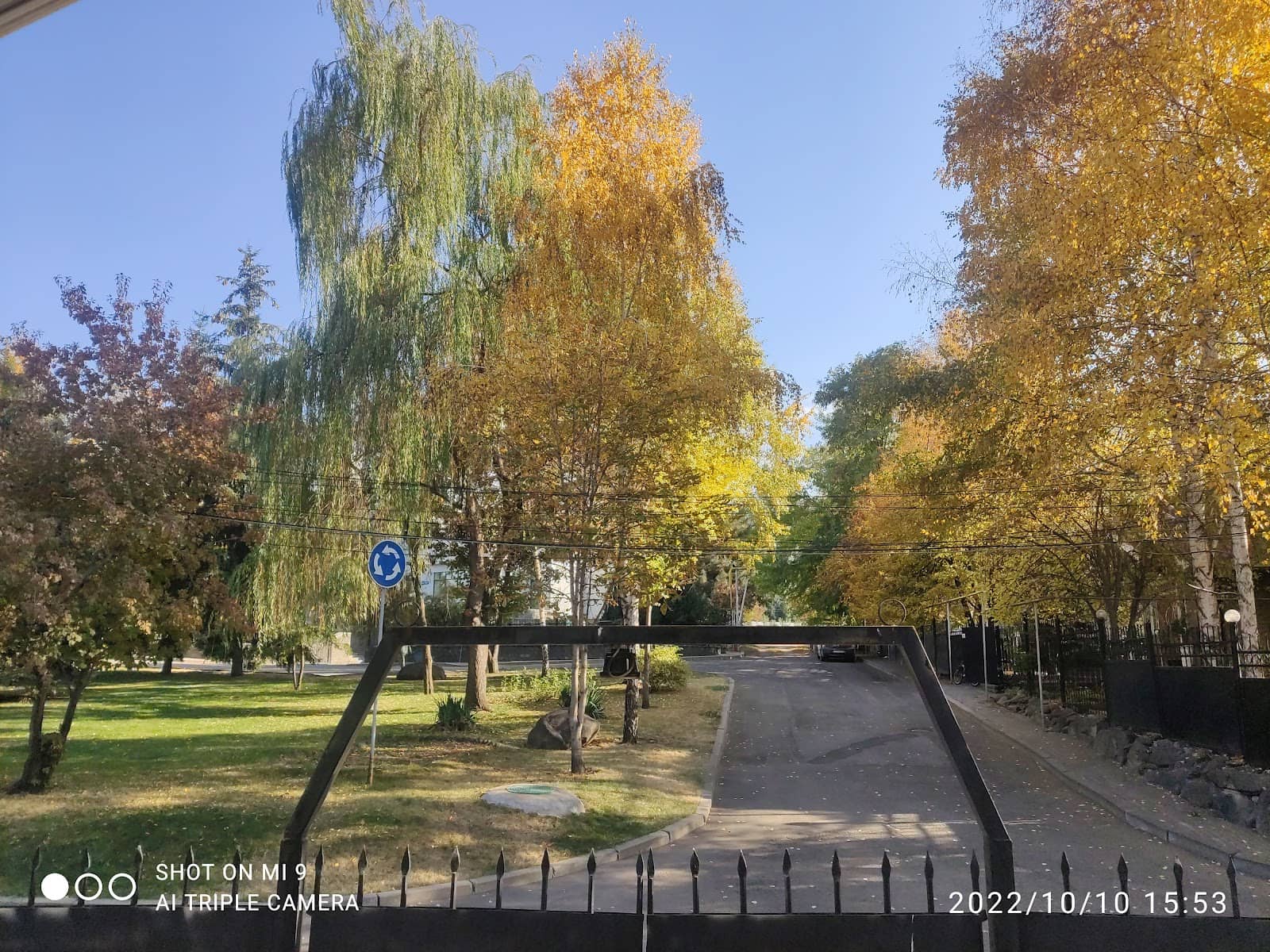 Local Life and Culture