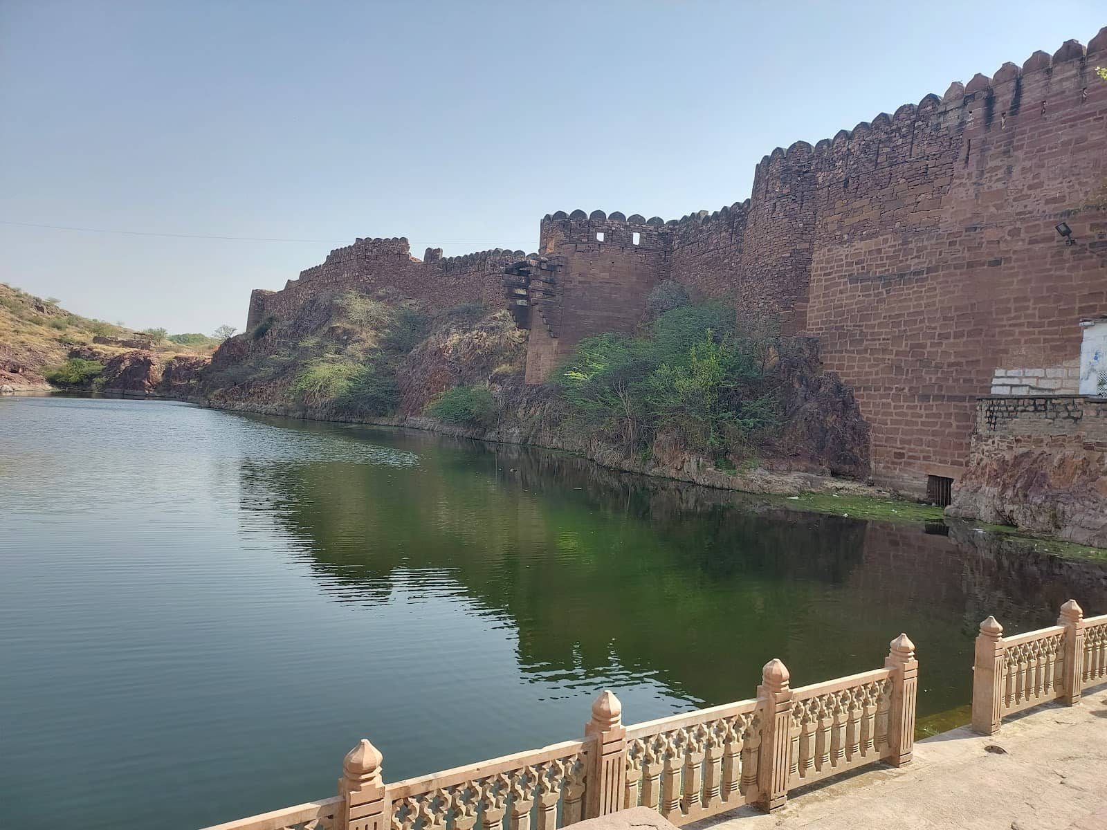 Diwali's Luminous Glow