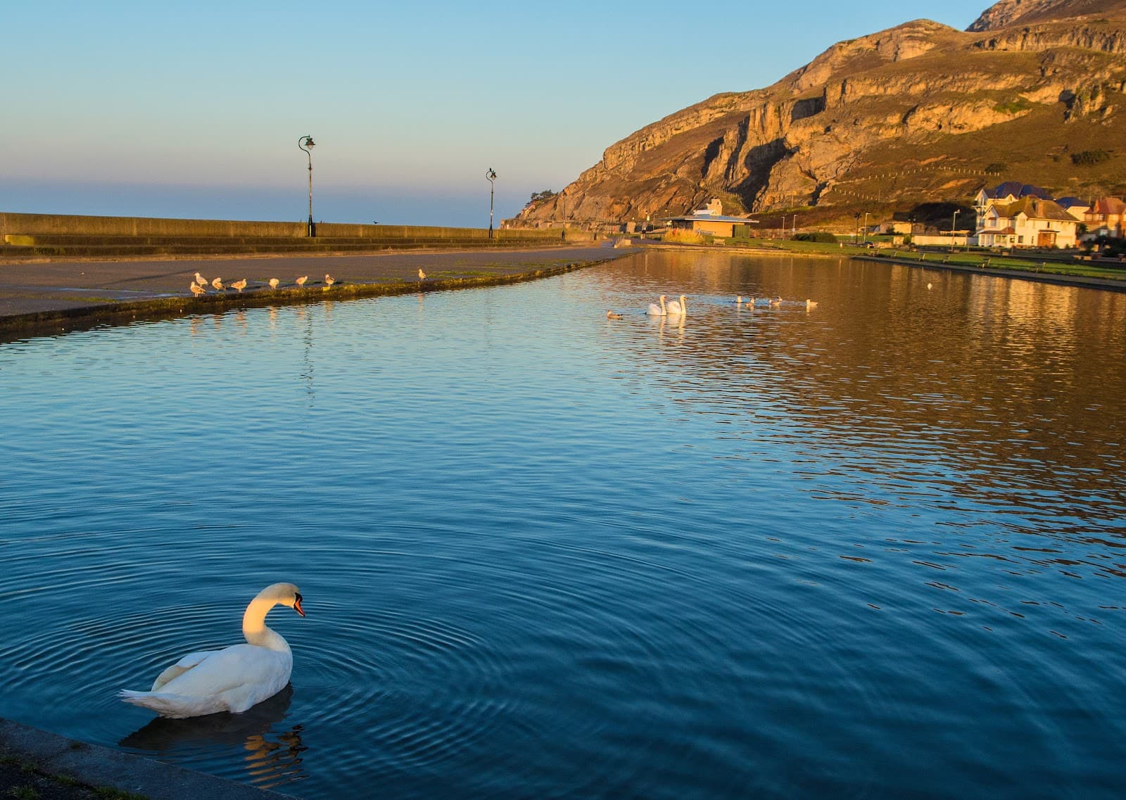 West Shore Boating Lake - Image 1
