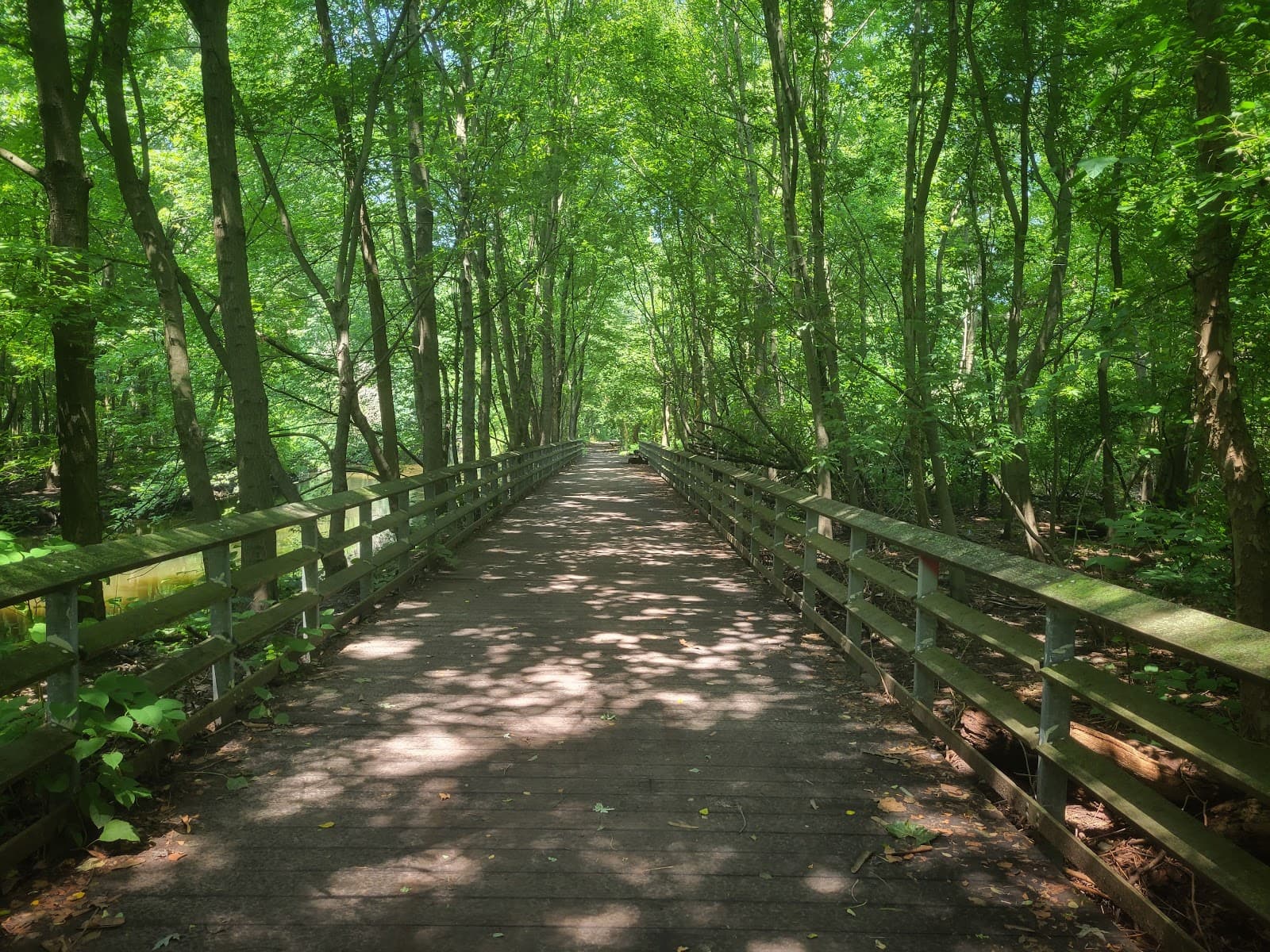 Bronx River Forest - Image 1