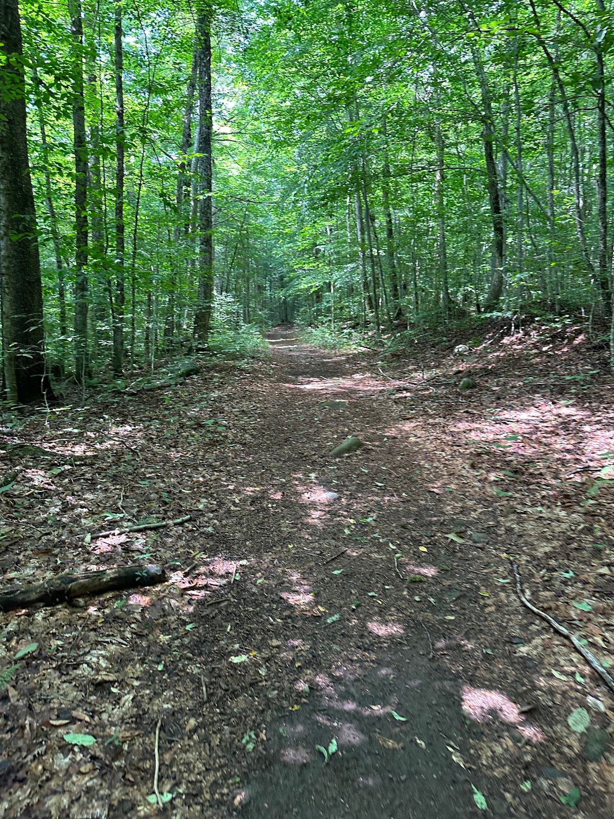 TOBIE Trail - Image 1