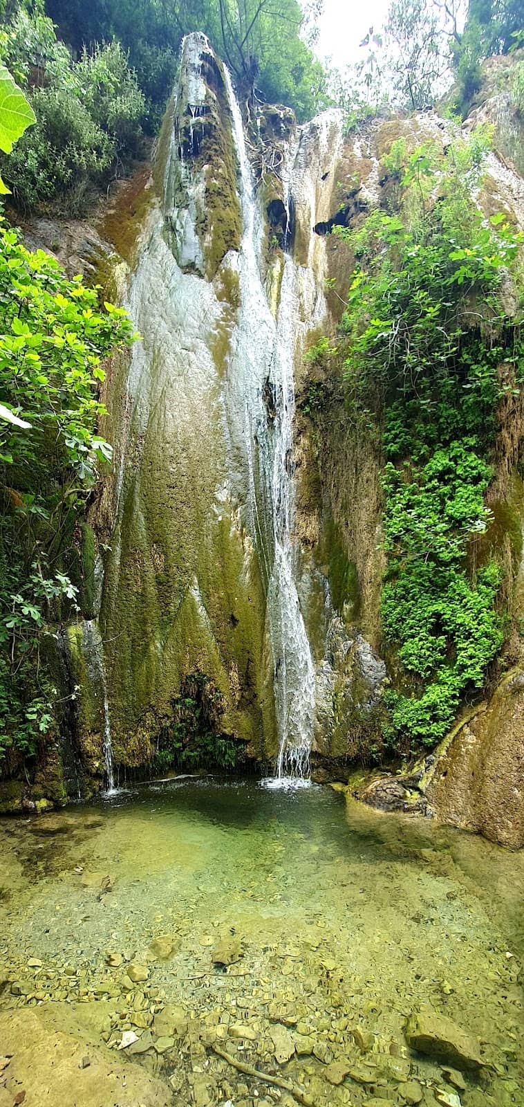 Vertical photo
