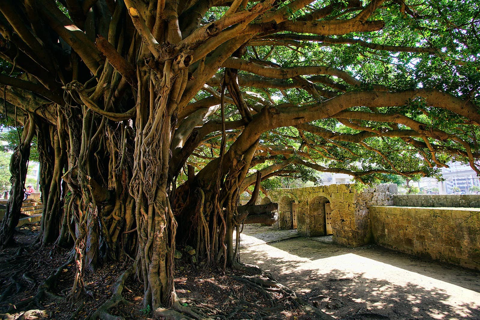 Ritualistic Atmosphere