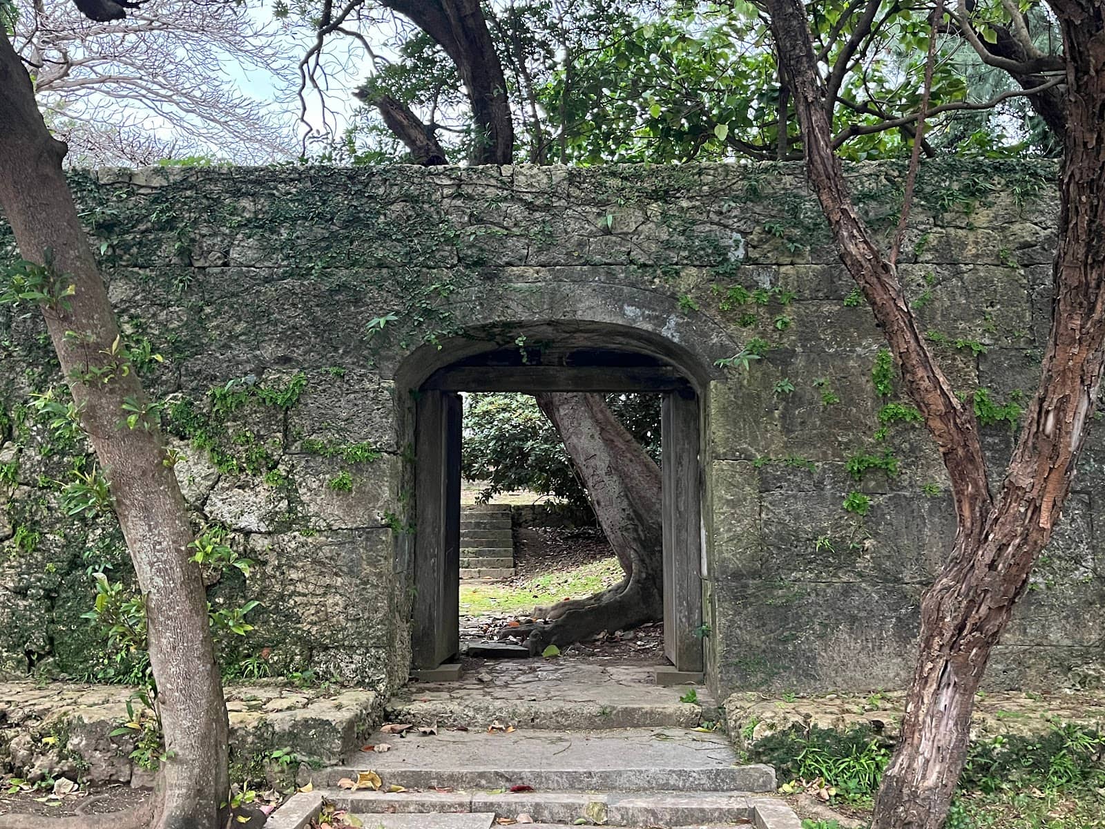 Vertical photo
