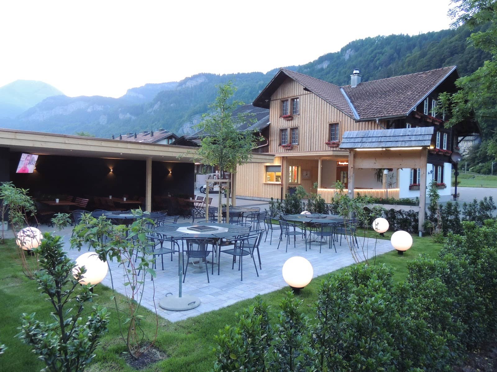Alpine Meadow Views