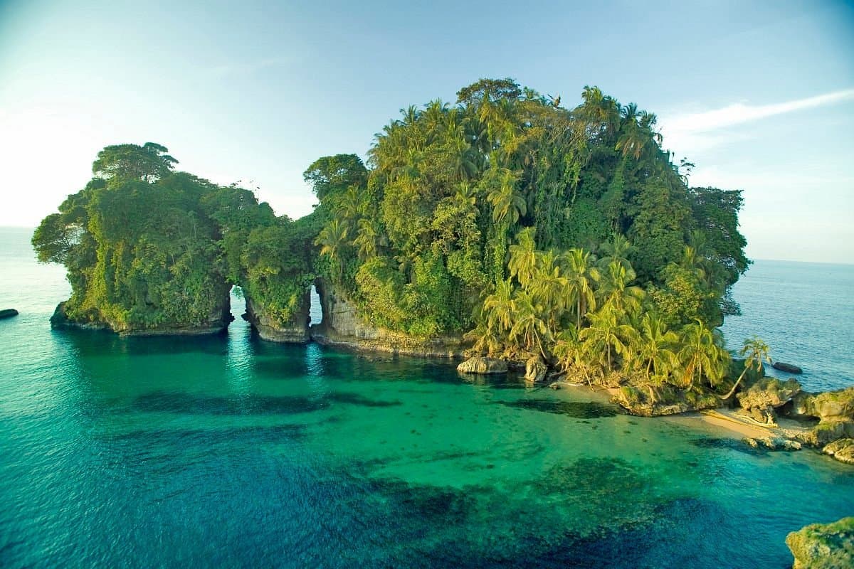 Bird Island (Isla Pájaros) - Image 1