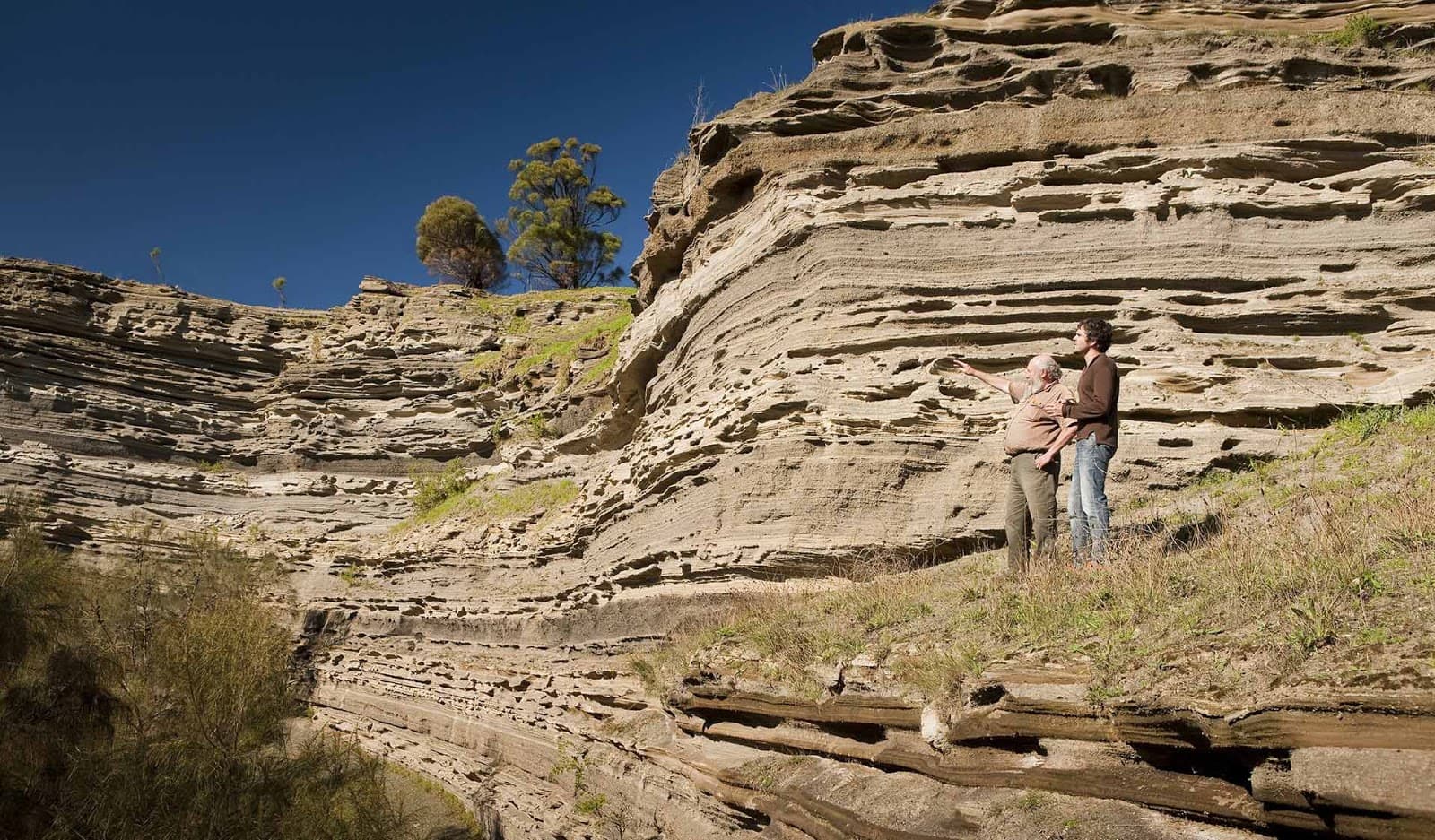 Tower Hill Wildlife Reserve - Image 1