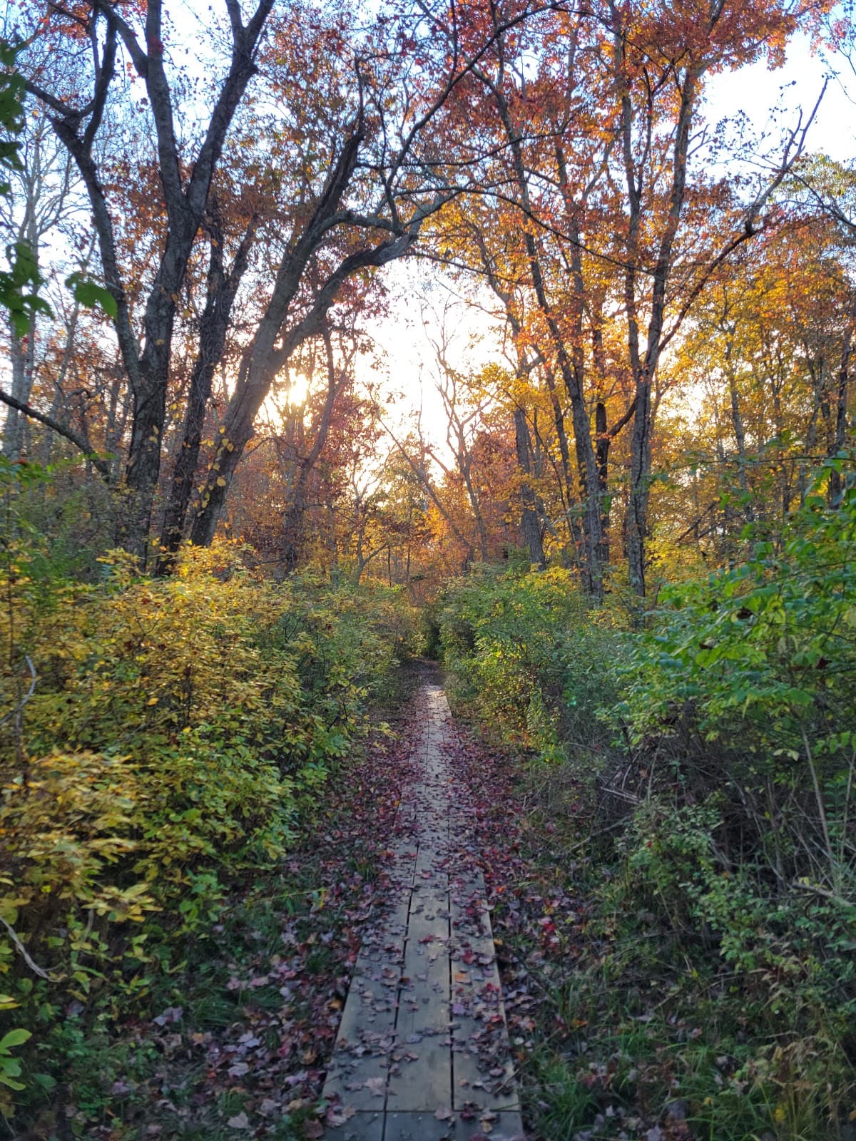 Canonchet Farm Trails - Image 1