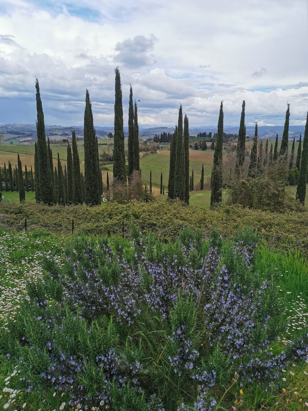 Via Francigena Colle di Val d'Elsa Monteriggioni - Image 1
