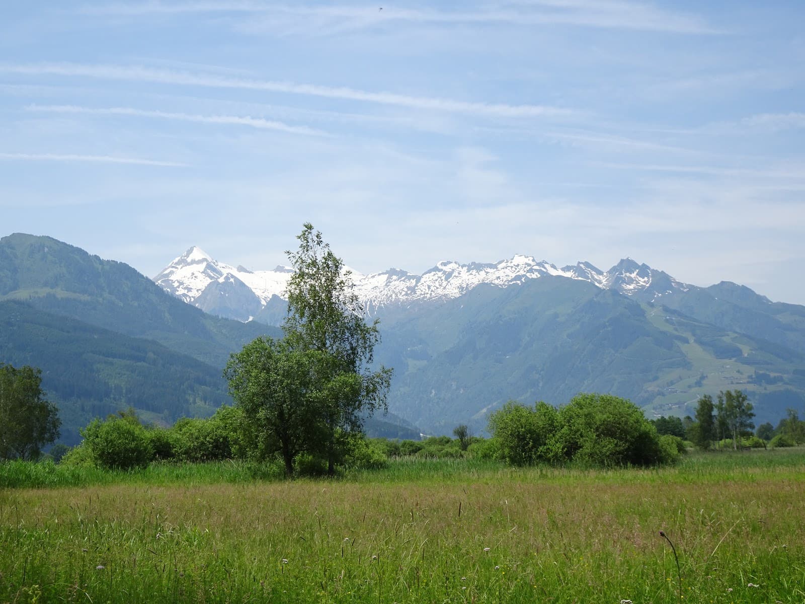 Zeller See Nature Reserve - Image 1