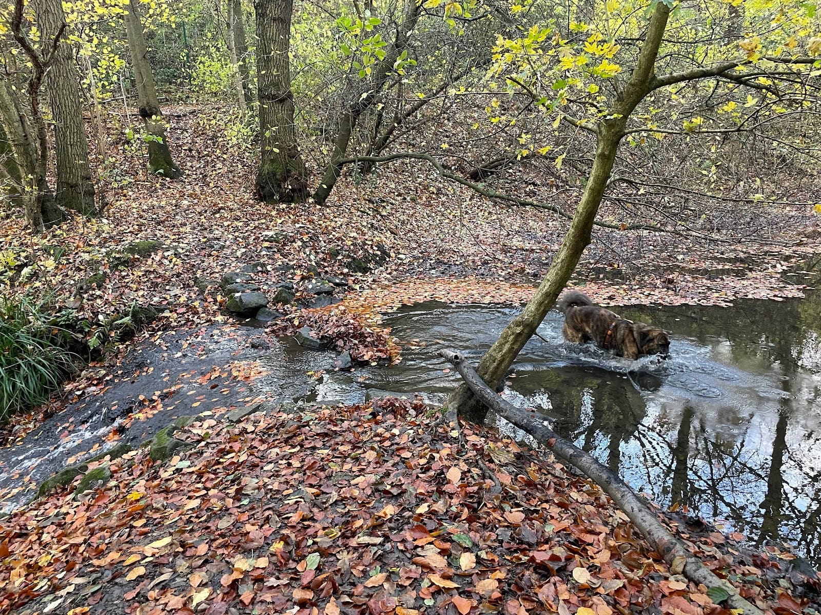 Kalwes Nature Reserve - Image 1
