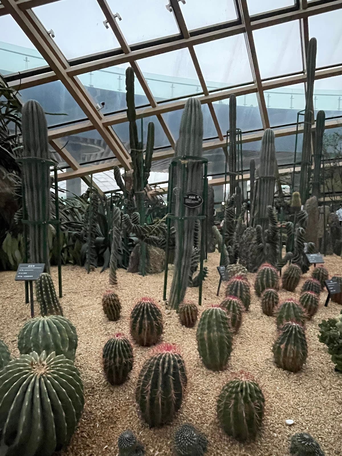 Taiyuan Botanical Garden - Image 1