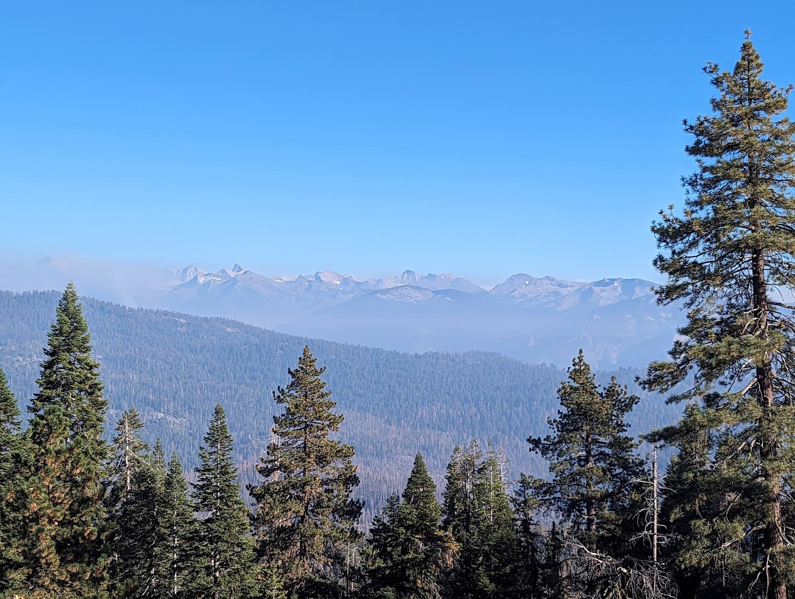 Little Baldy - Image 1