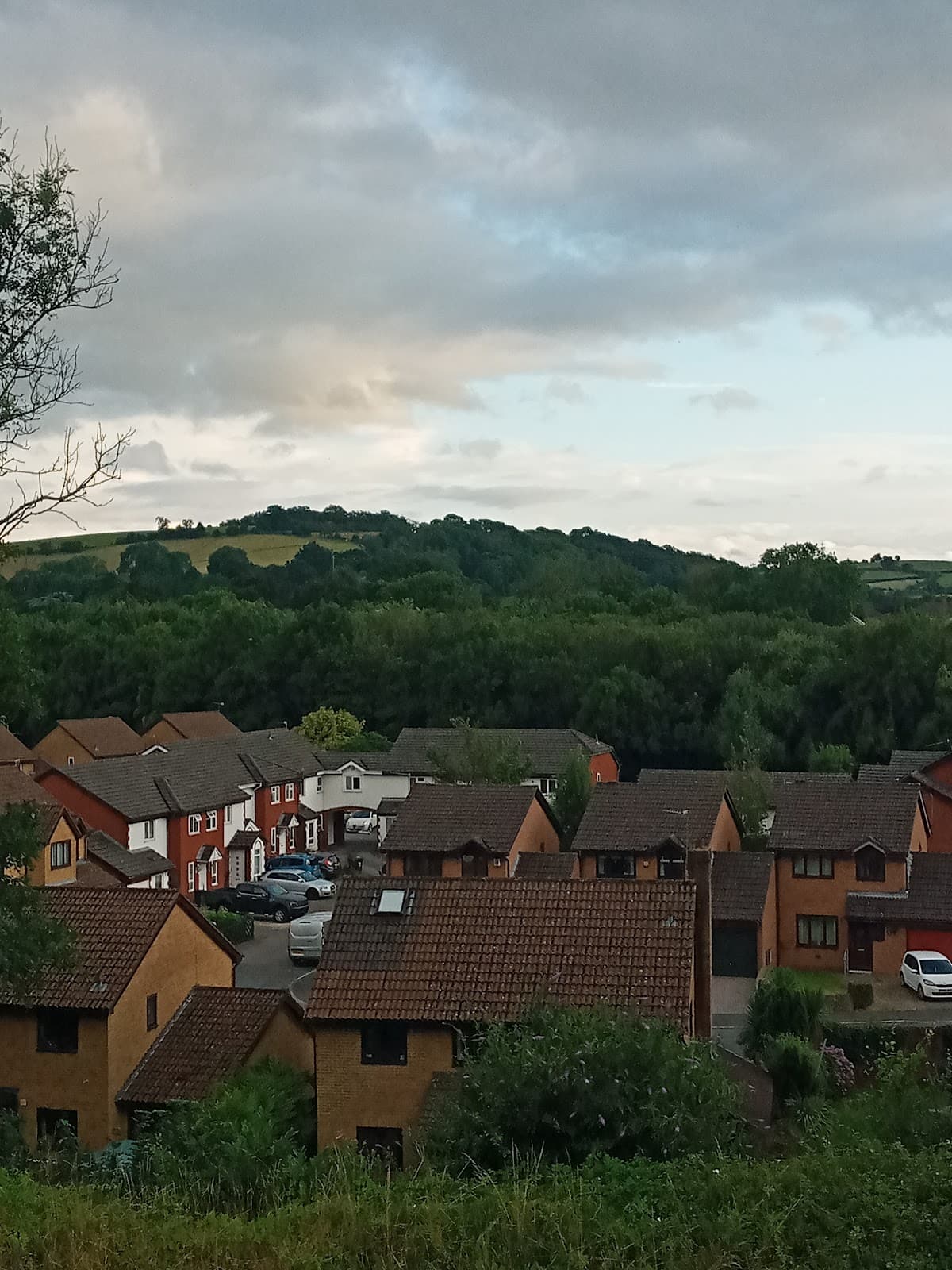 Rogerstone - Image 1