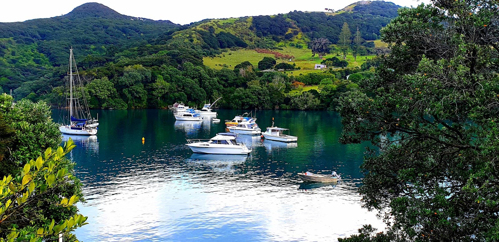 Great Barrier Island / Aotea Auckland - Image 1