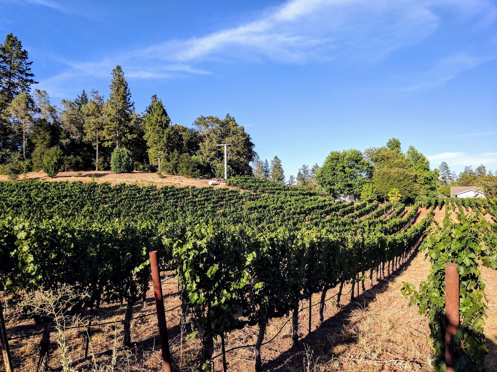 Howell Mountain - Image 1