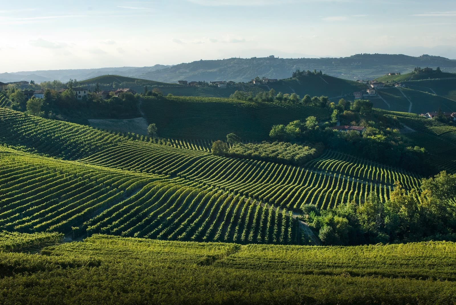 UNESCO Vineyard Landscapes of Langhe-Roero and Monferrato - Image 1