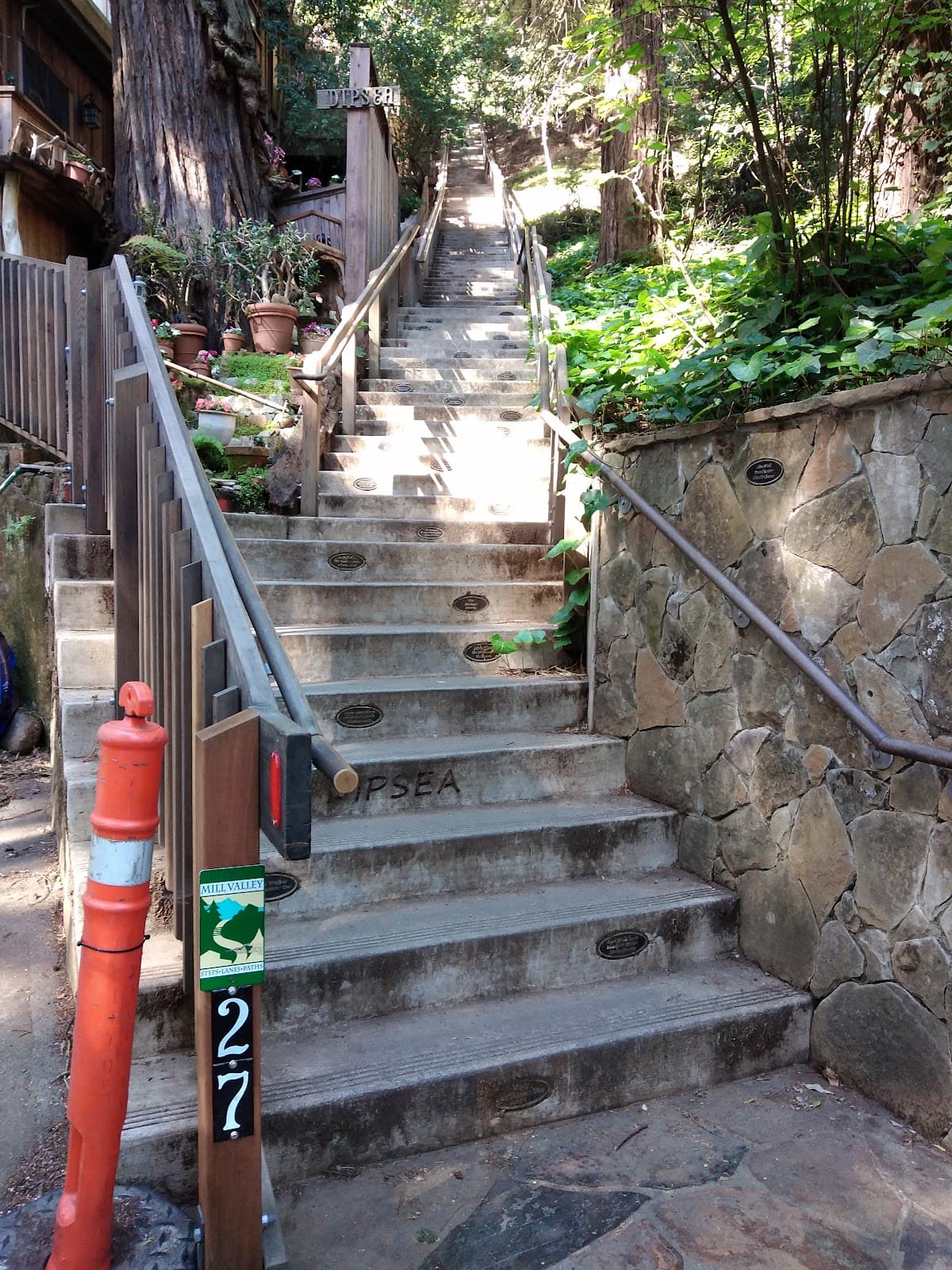 Dipsea Stairs - Image 1