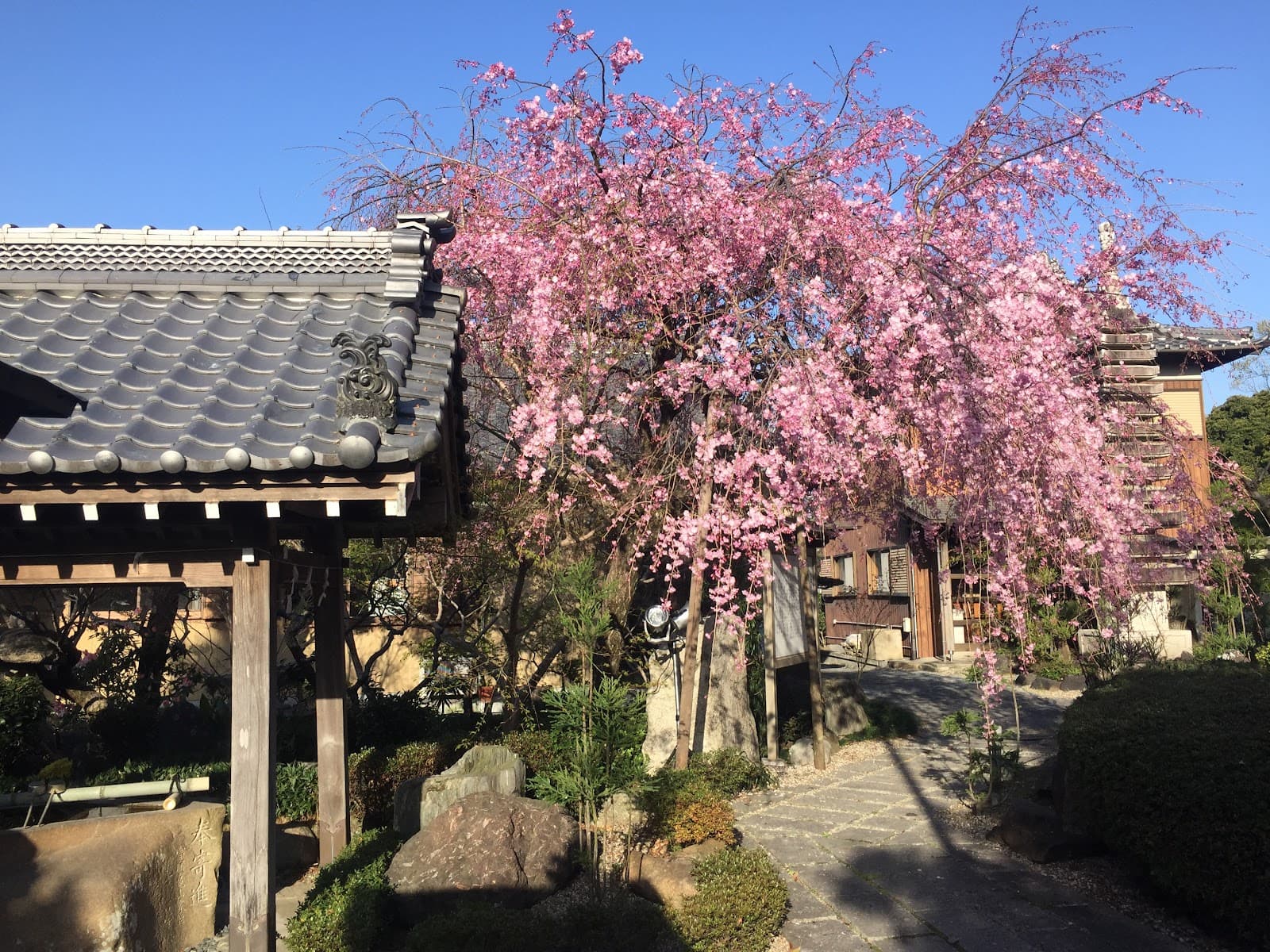 Ishiyakushi-ji Temple - Image 1