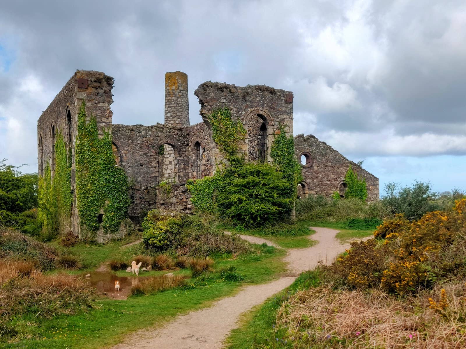Miners' Trail
