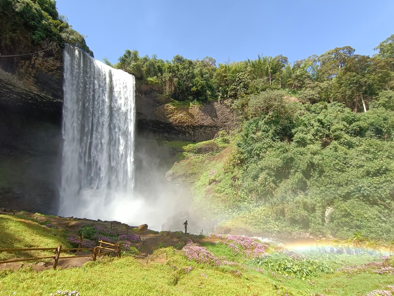 Tad Tayicseua - Image 1