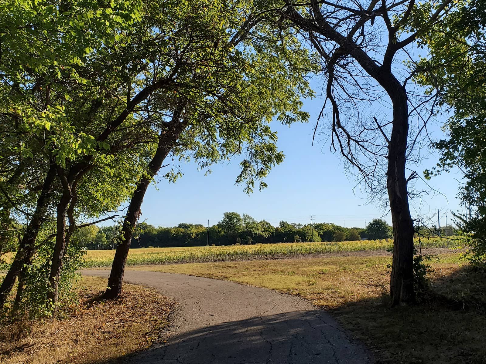 Nature Center Exploration