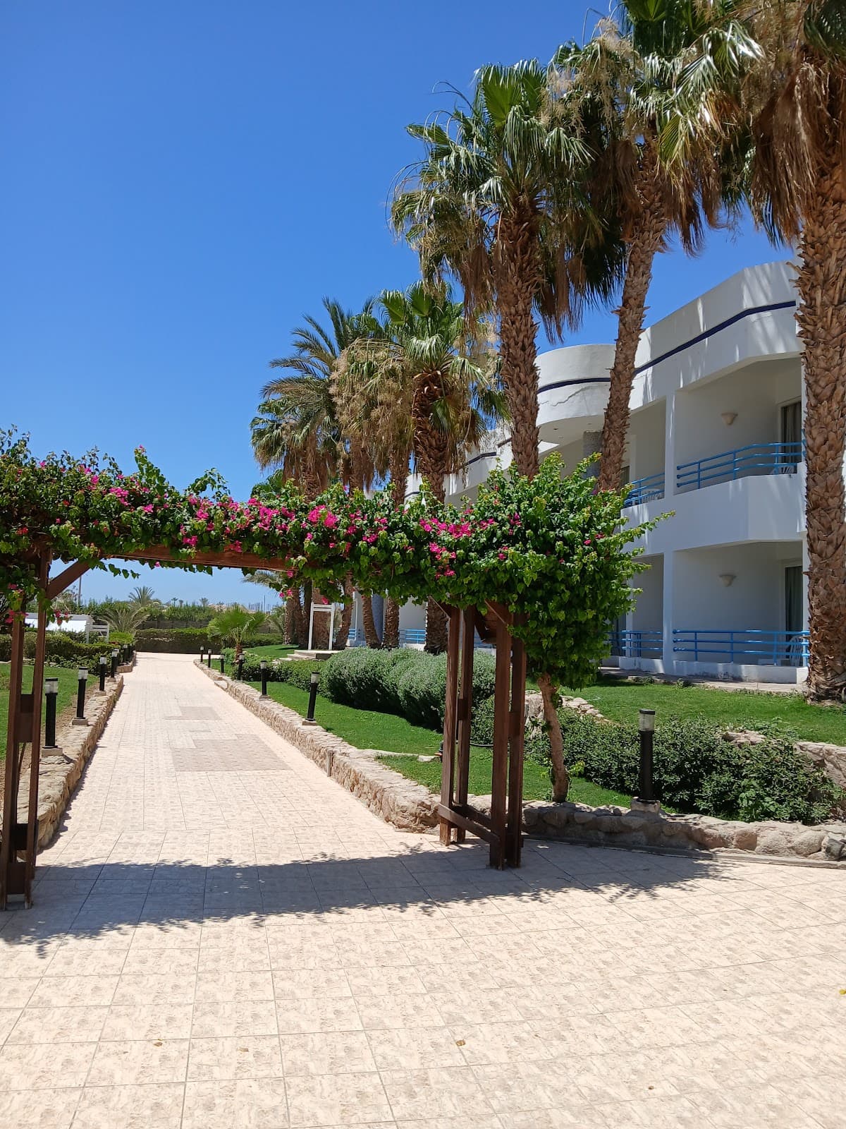 Hadaba Om El Sid - Image 1