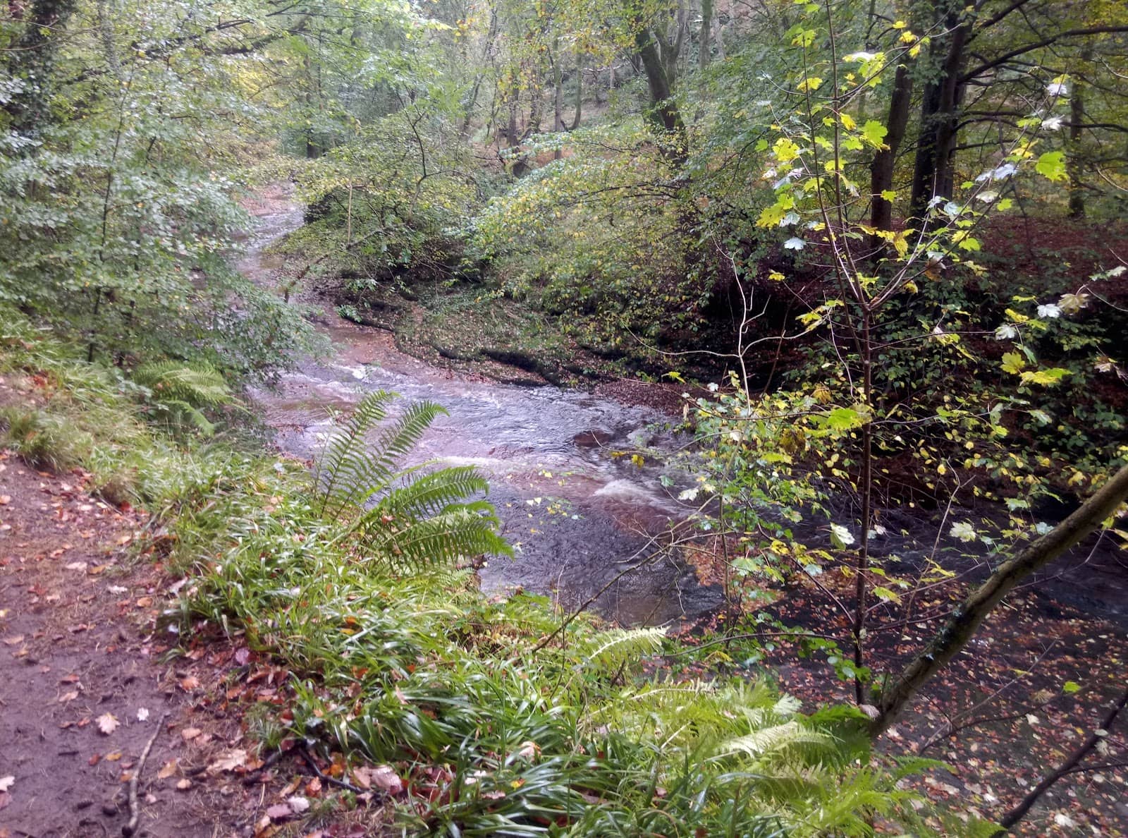 Roman Quarry Works