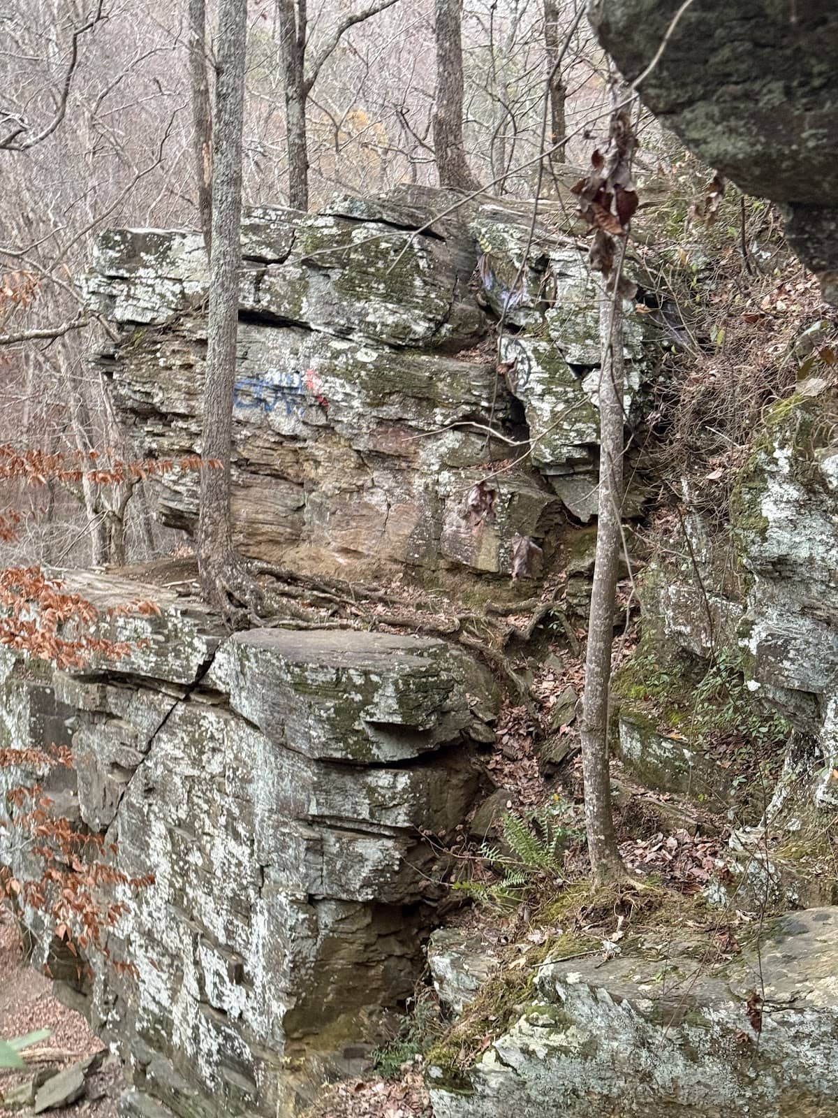 Unwinding Loop Trail