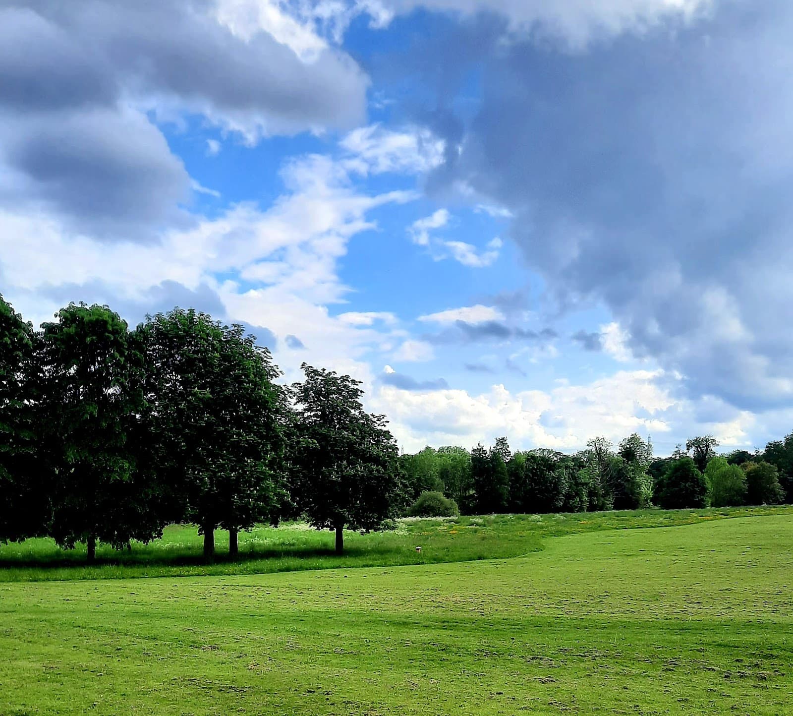 Campsall Country Park - Image 1