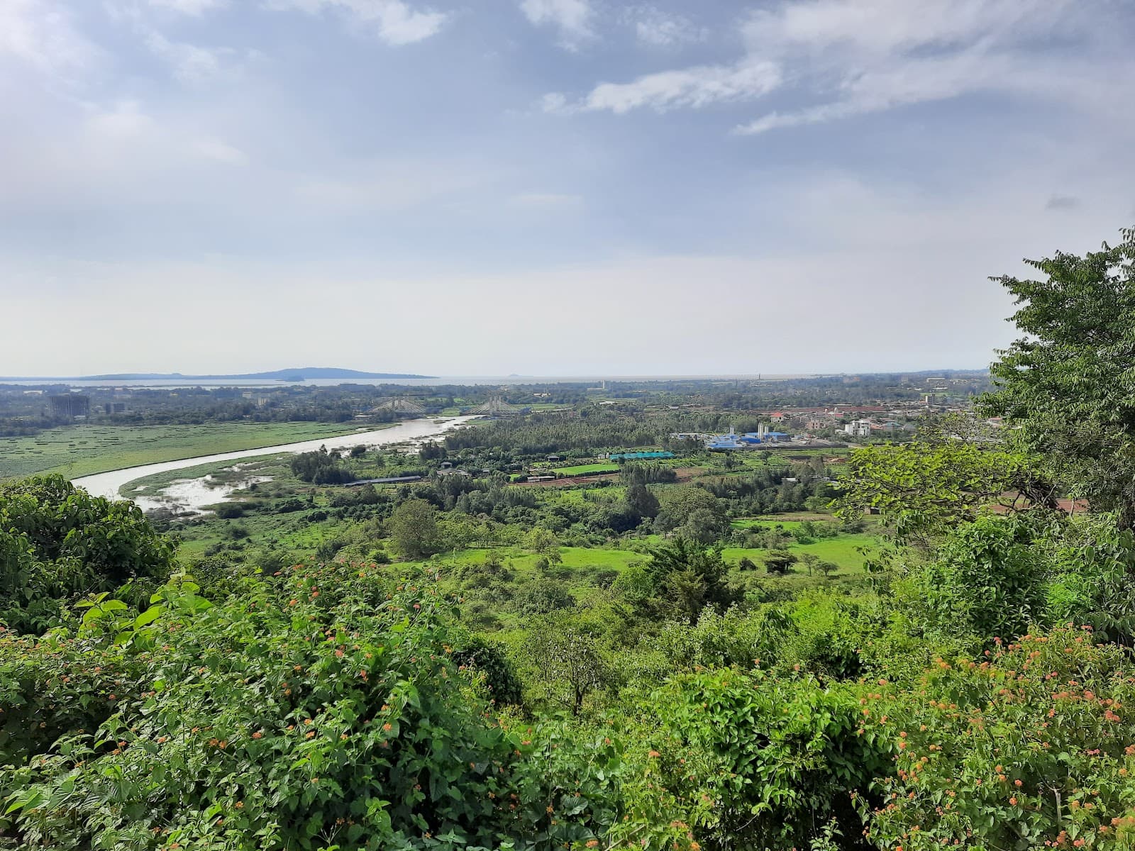 Bezawit Palace (Bezawit Hill) - Image 1