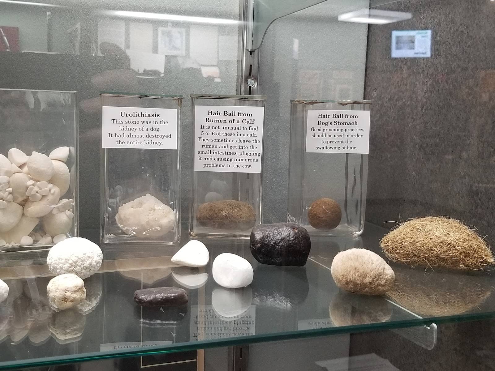 Photographic & Documented History