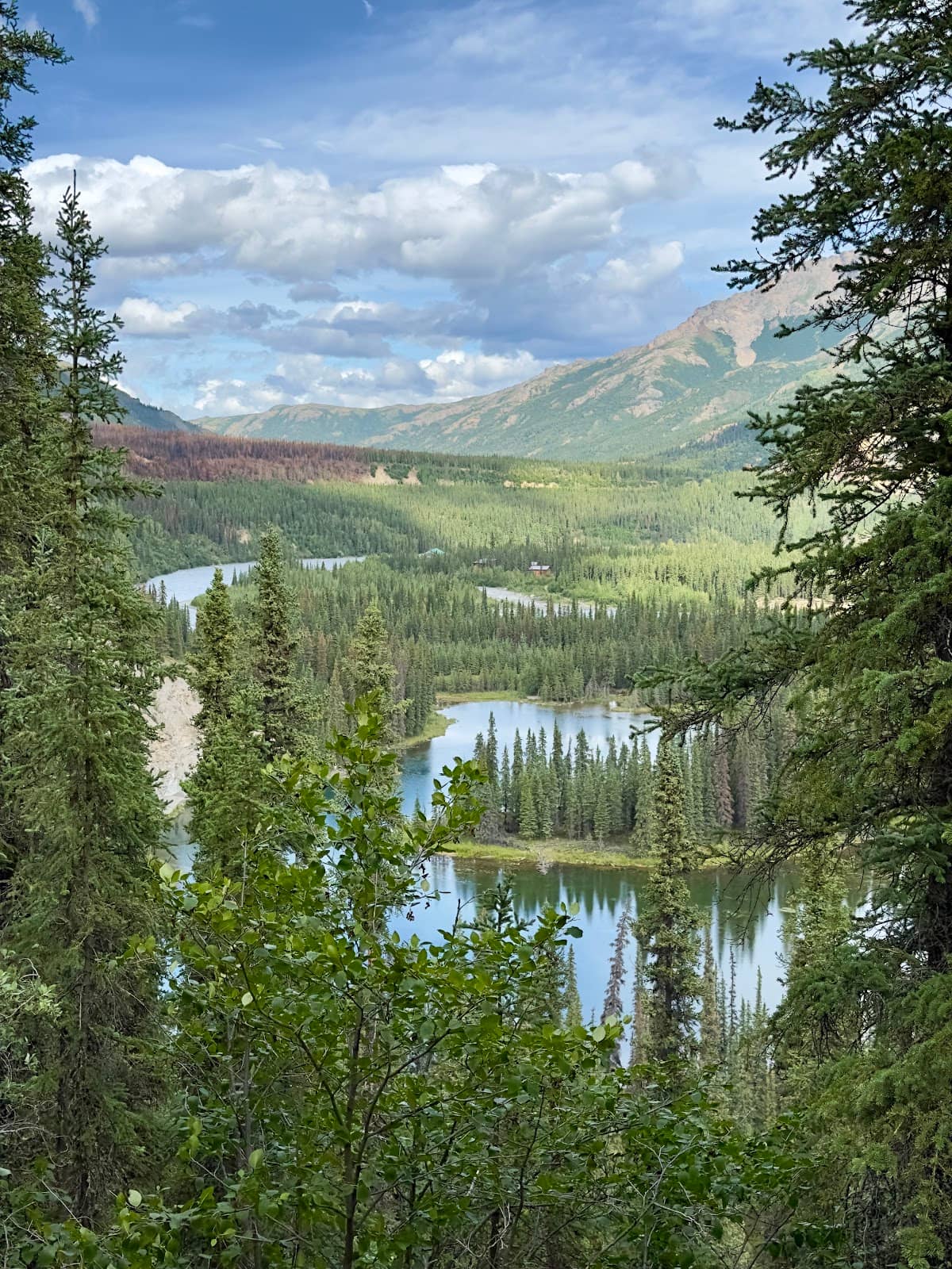 Vertical photo