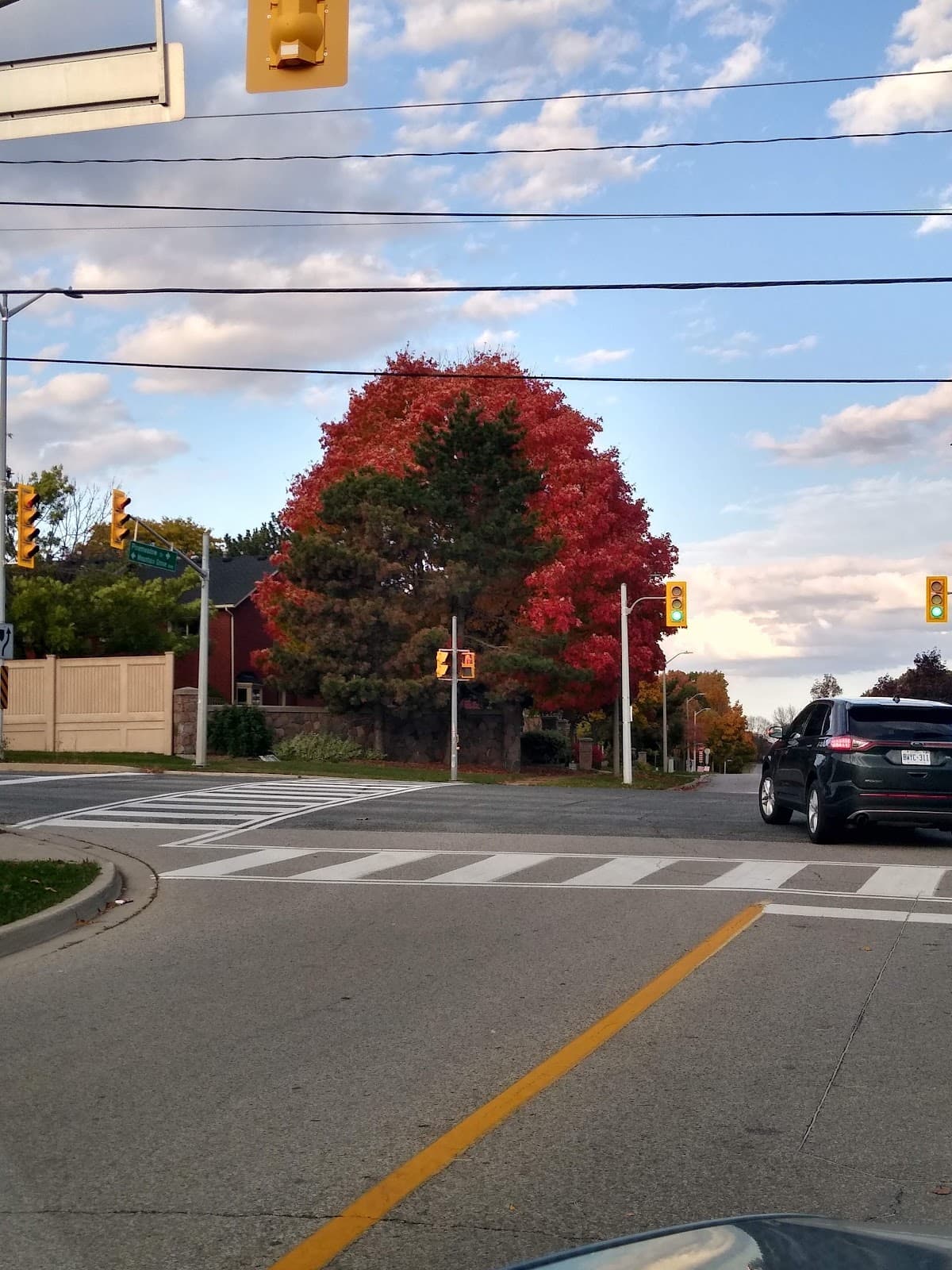 Stoney Creek Mountain - Image 1