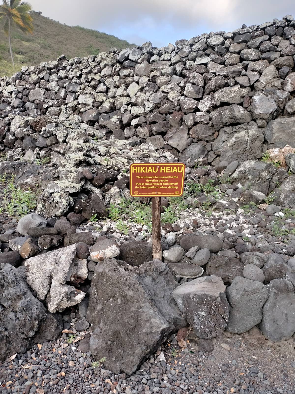Lava Fields and Green Sand