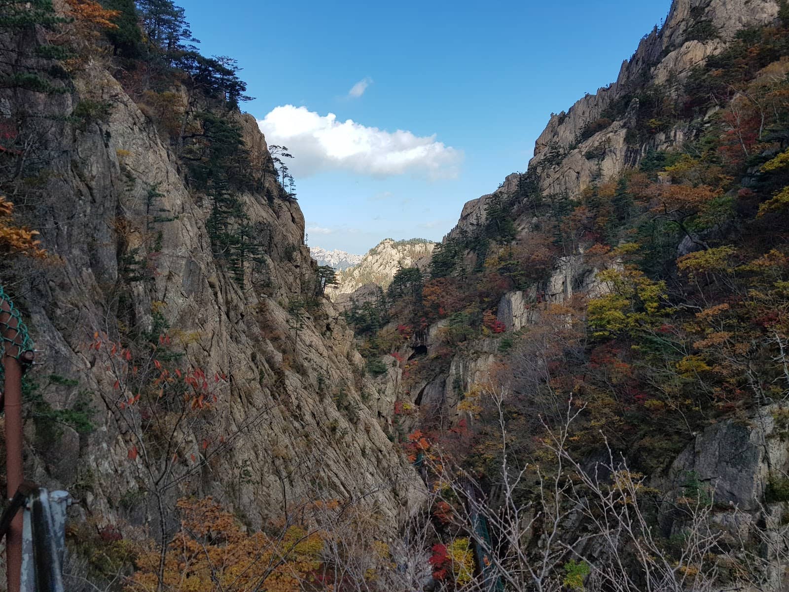 Autumn Foliage Spectacle