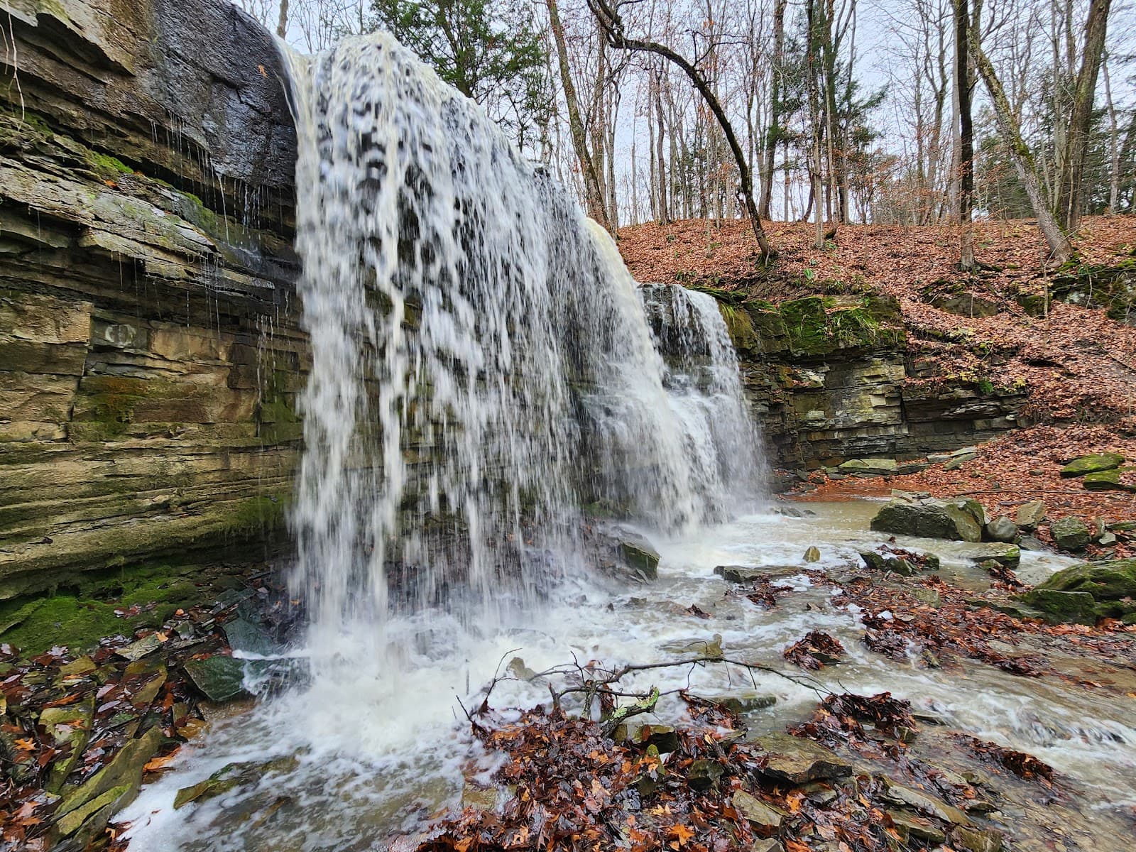 Terrace Creek Falls - Image 1