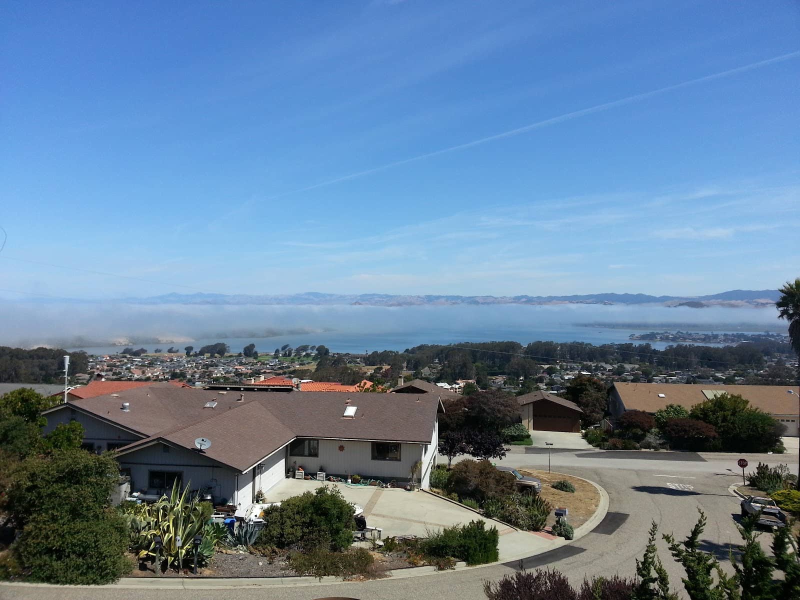 Mirazur's Culinary Creations